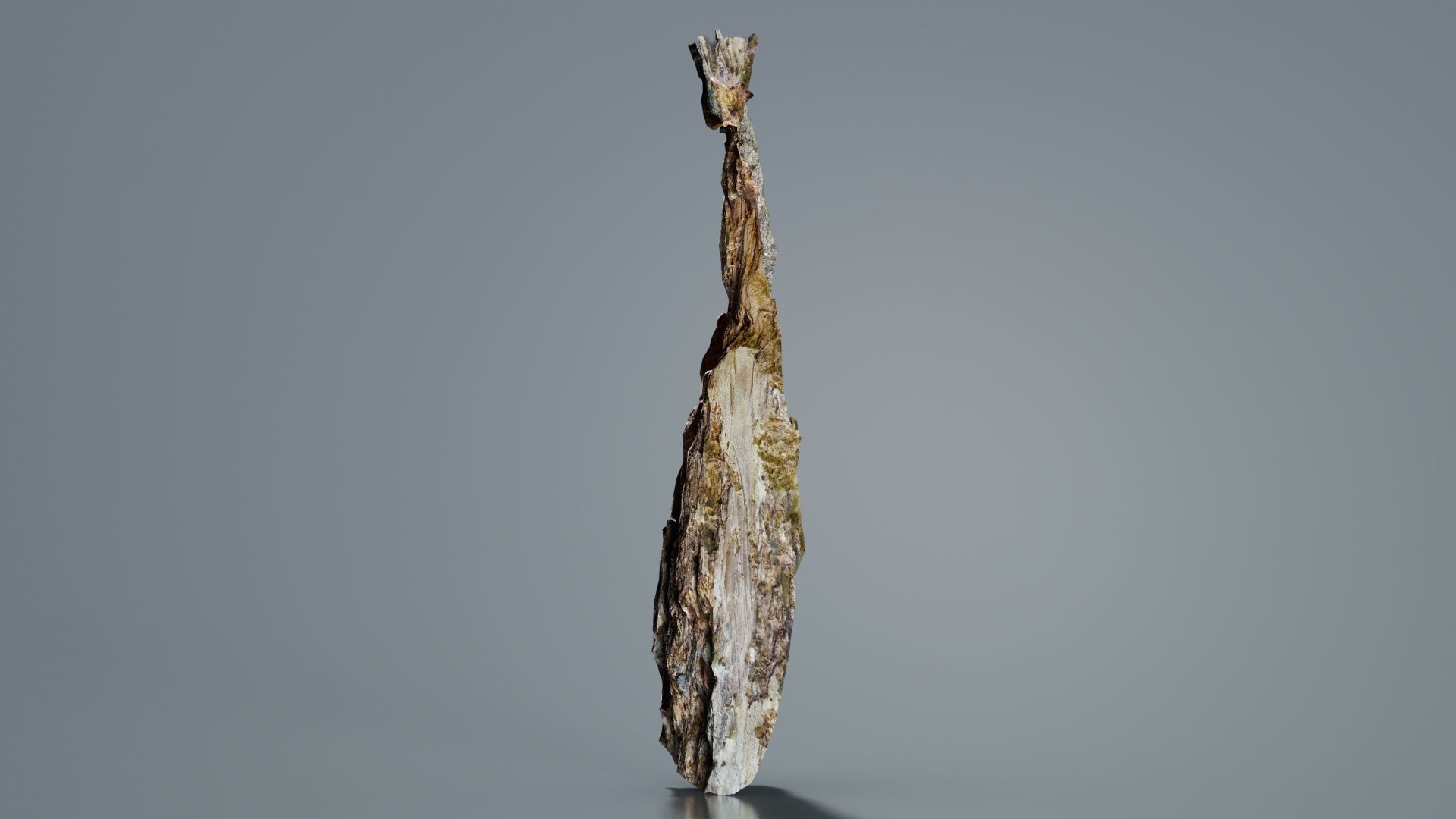 Carved Tree Bark Low-poly 3D model_4