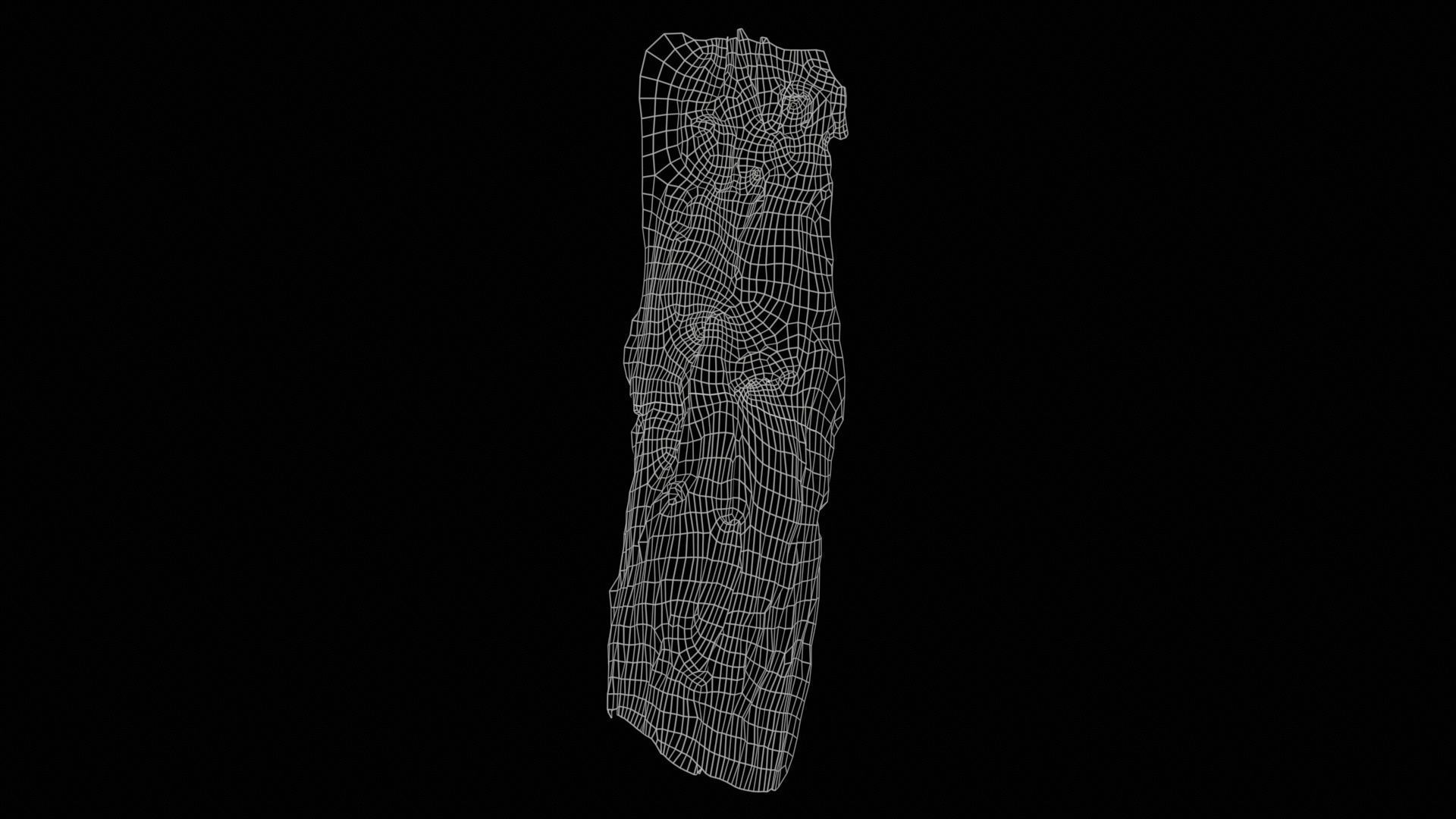 Carved Tree Bark Low-poly 3D model_11