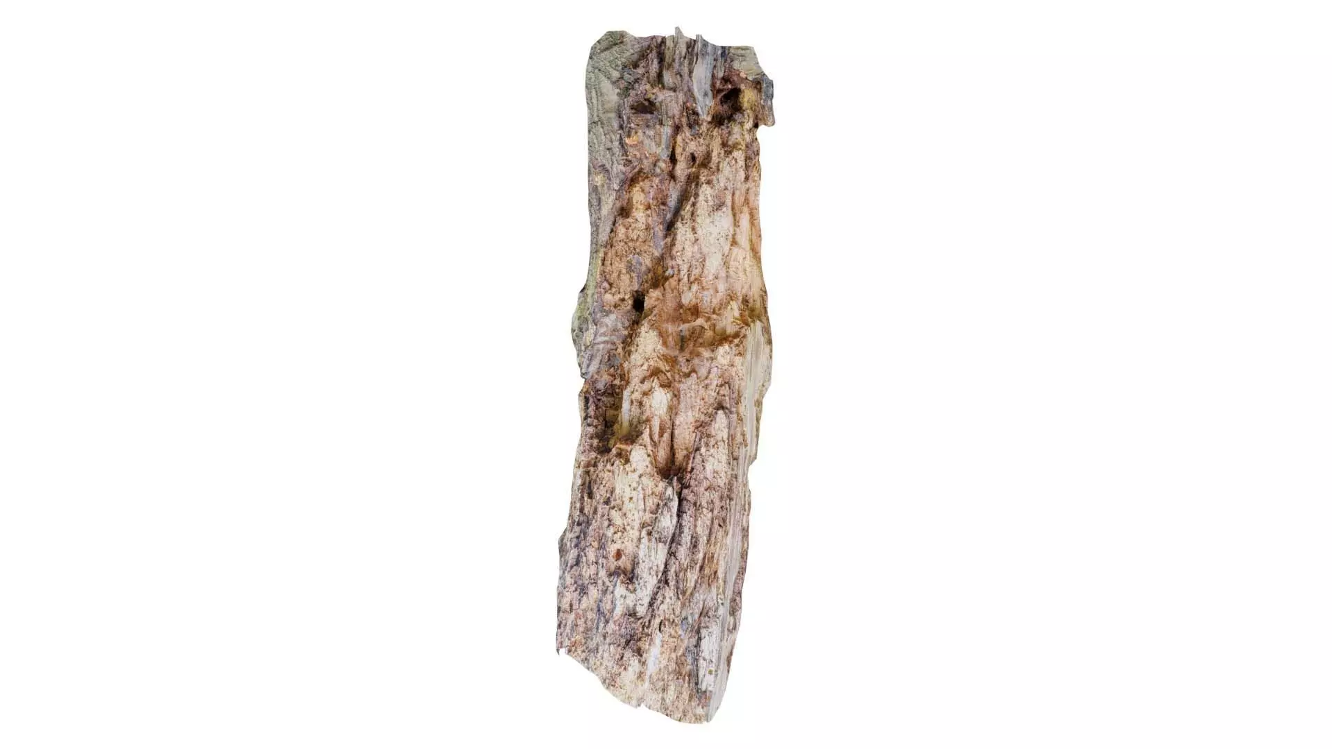 Carved Tree Bark Low-poly 3D model_0