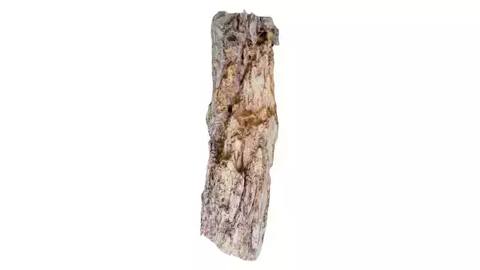 Carved Tree Bark Low-poly 3D model