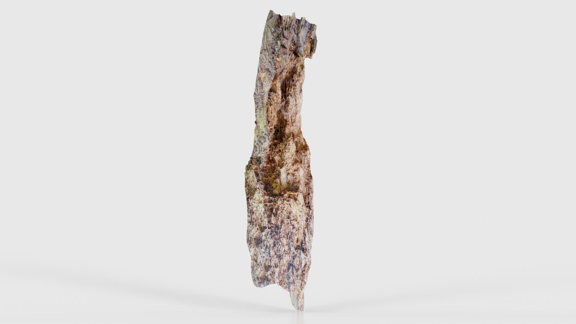 Carved Tree Bark Low-poly 3D model_17