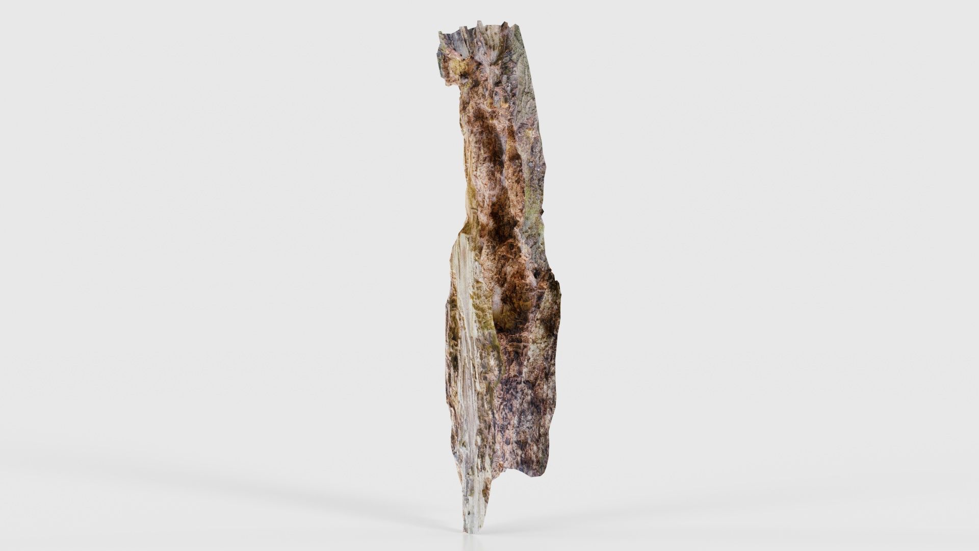 Carved Tree Bark Low-poly 3D model_23