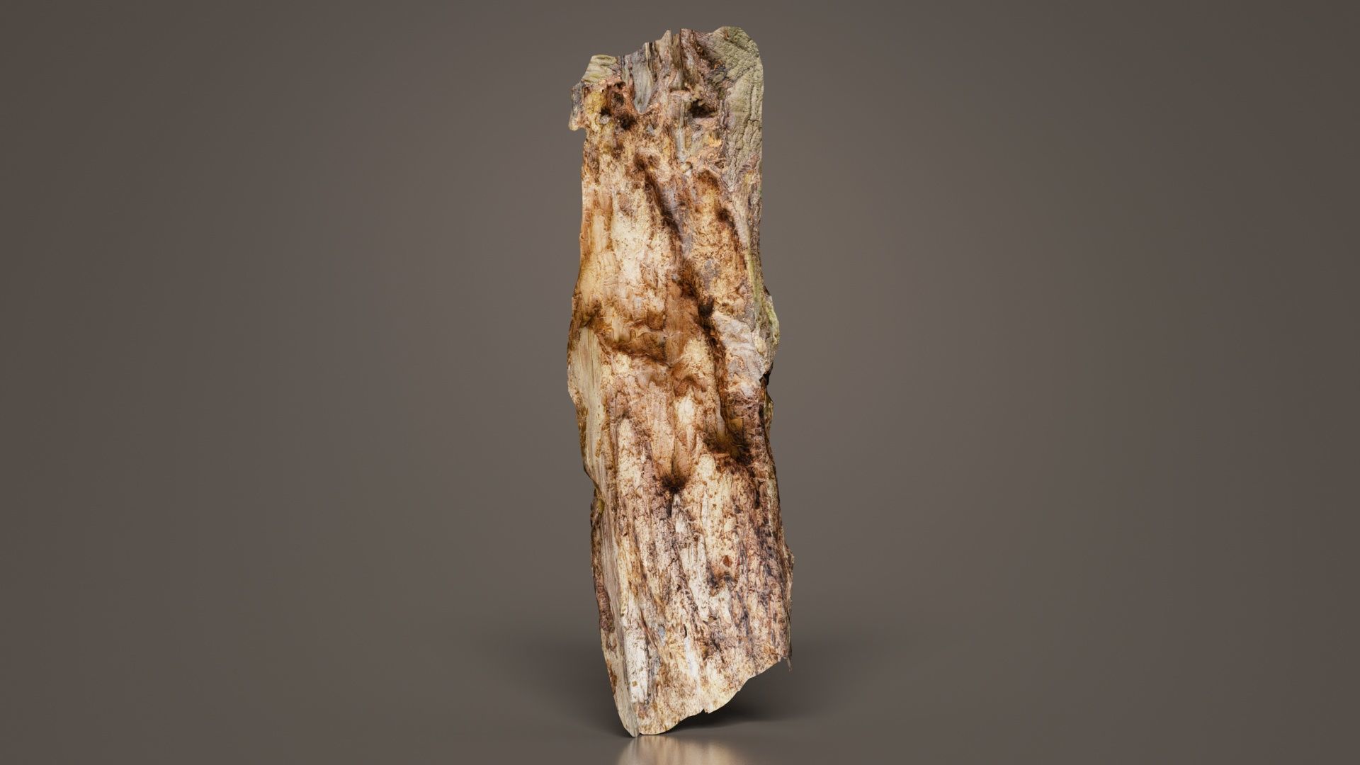 Carved Tree Bark Low-poly 3D model_1