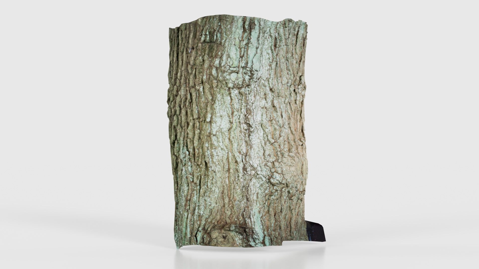 Circle Bark Low-poly 3D model_26