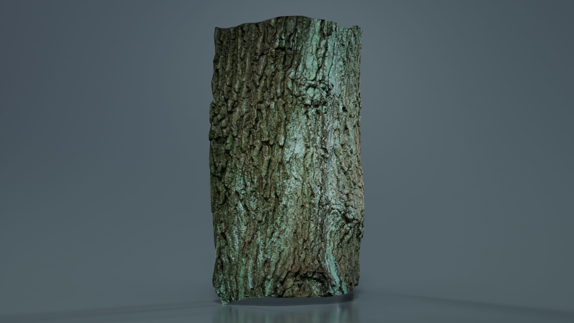 Circle Bark Low-poly 3D model_3