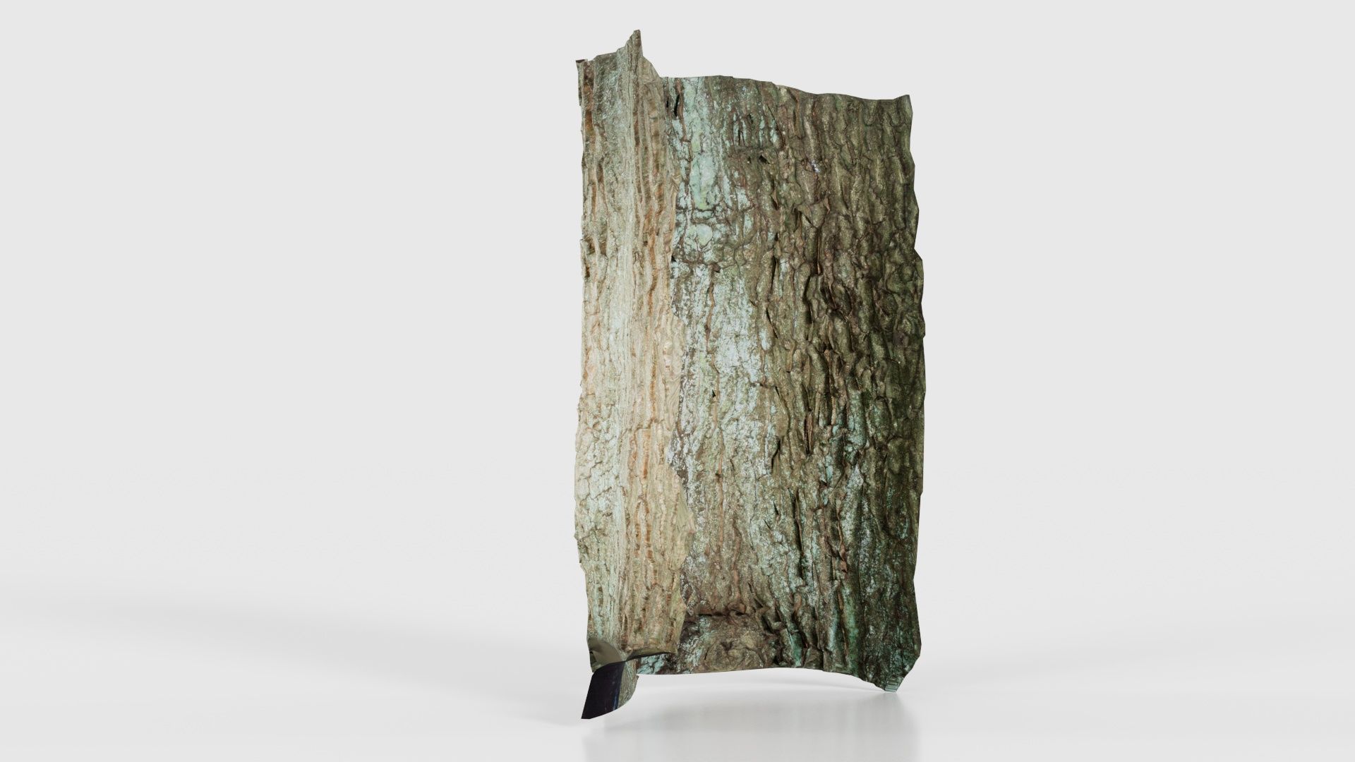 Circle Bark Low-poly 3D model_21