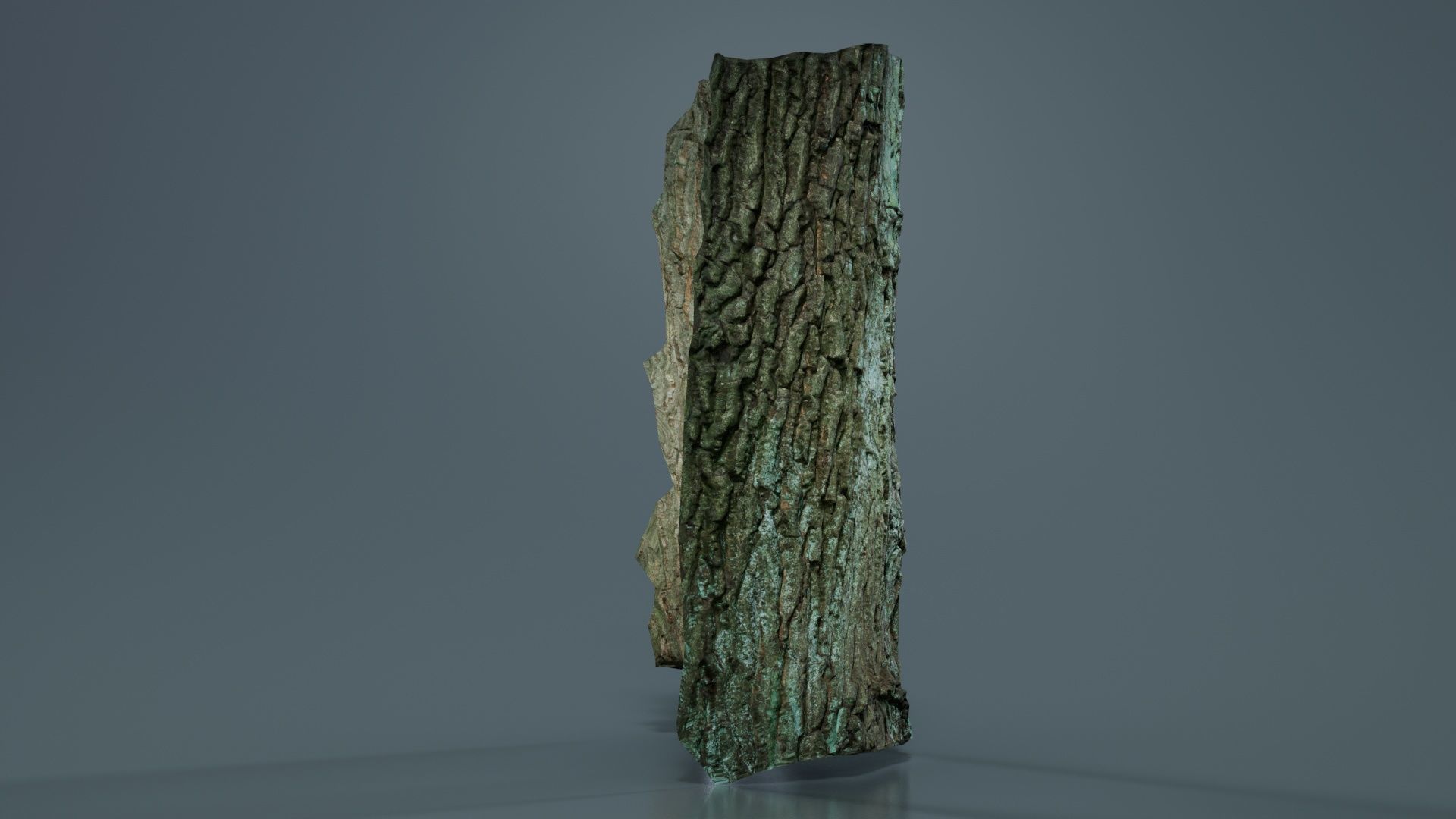 Circle Bark Low-poly 3D model_1