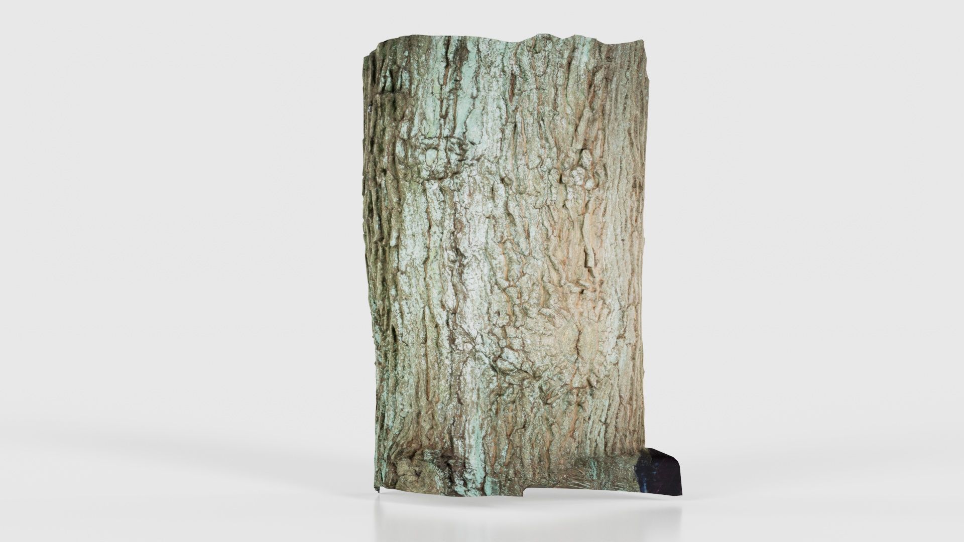 Circle Bark Low-poly 3D model_25