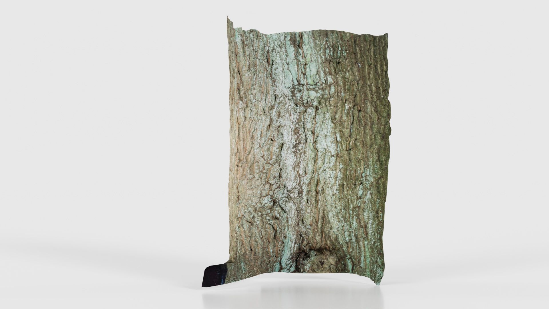 Circle Bark Low-poly 3D model_20