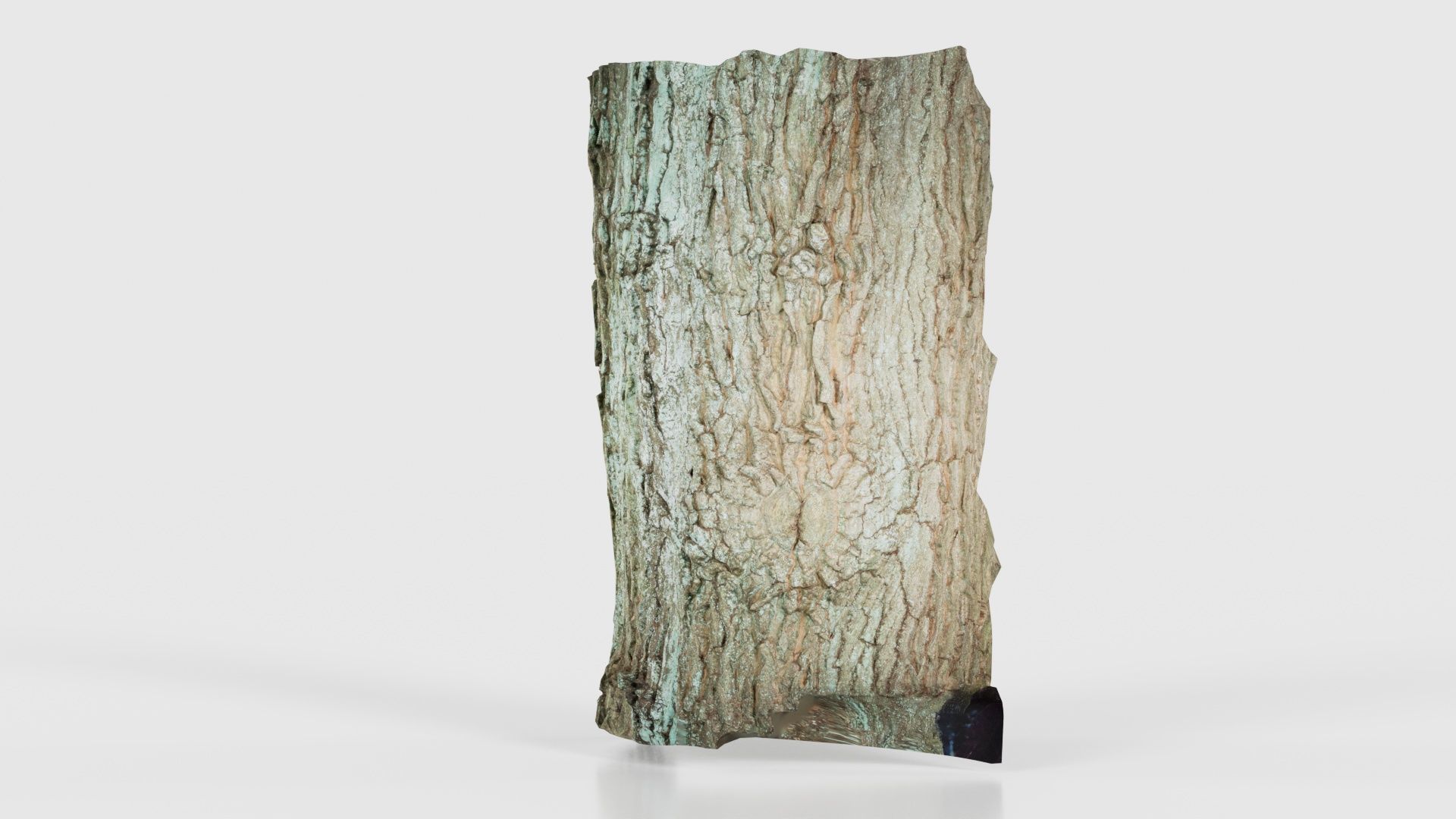 Circle Bark Low-poly 3D model_24