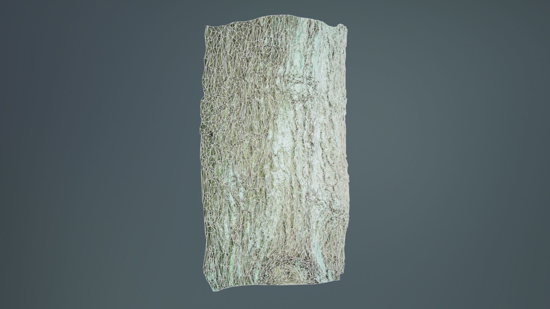 Circle Bark Low-poly 3D model_9