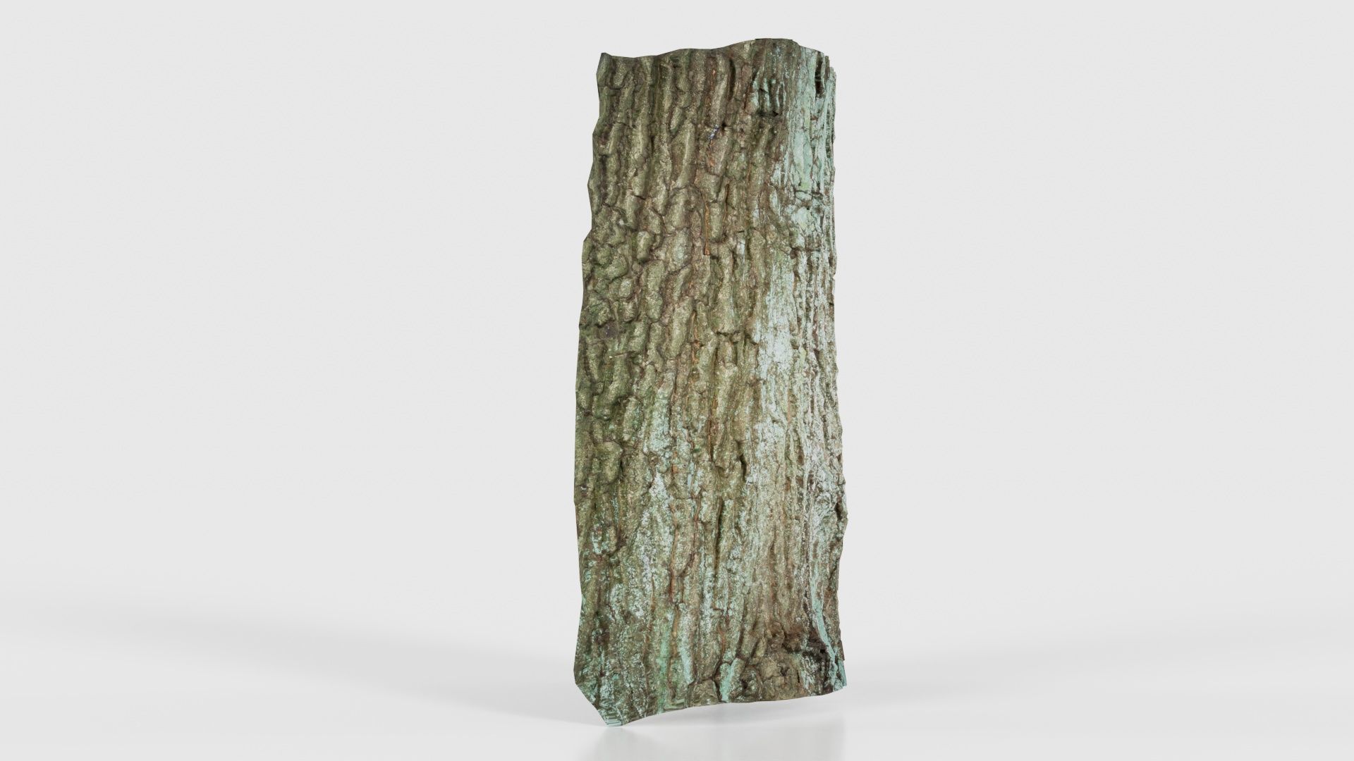 Circle Bark Low-poly 3D model_16