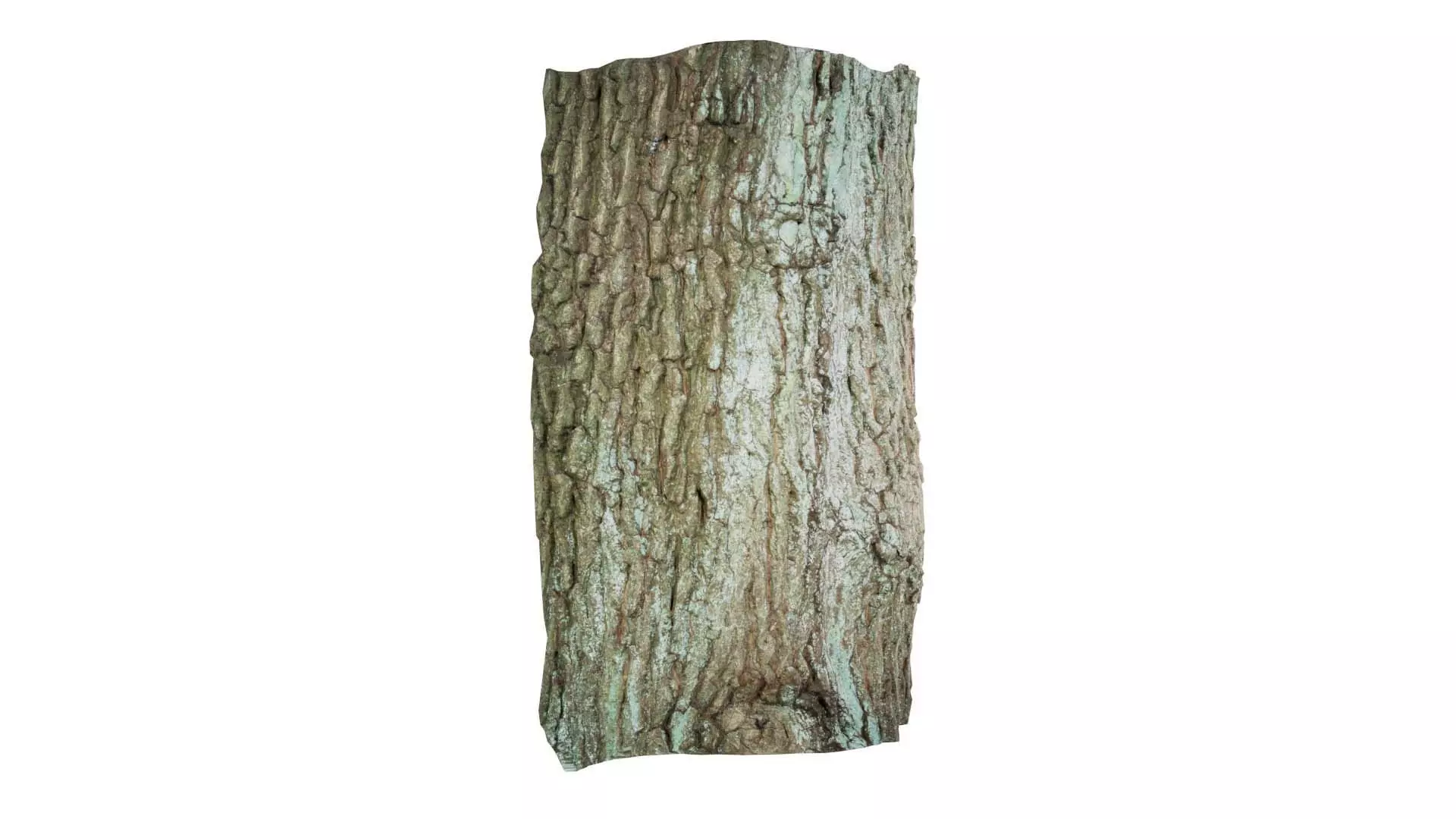 Circle Bark Low-poly 3D model_0