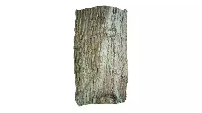 Circle Bark Low-poly 3D model