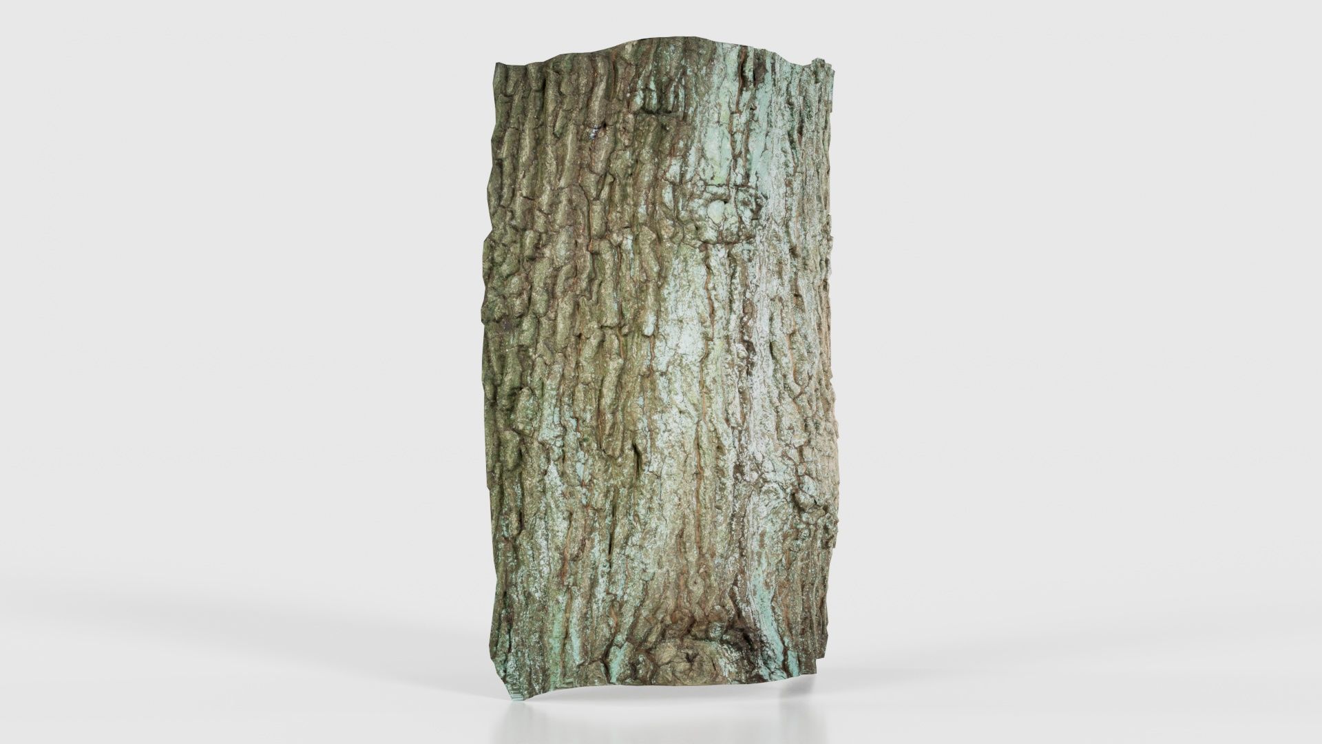 Circle Bark Low-poly 3D model_15