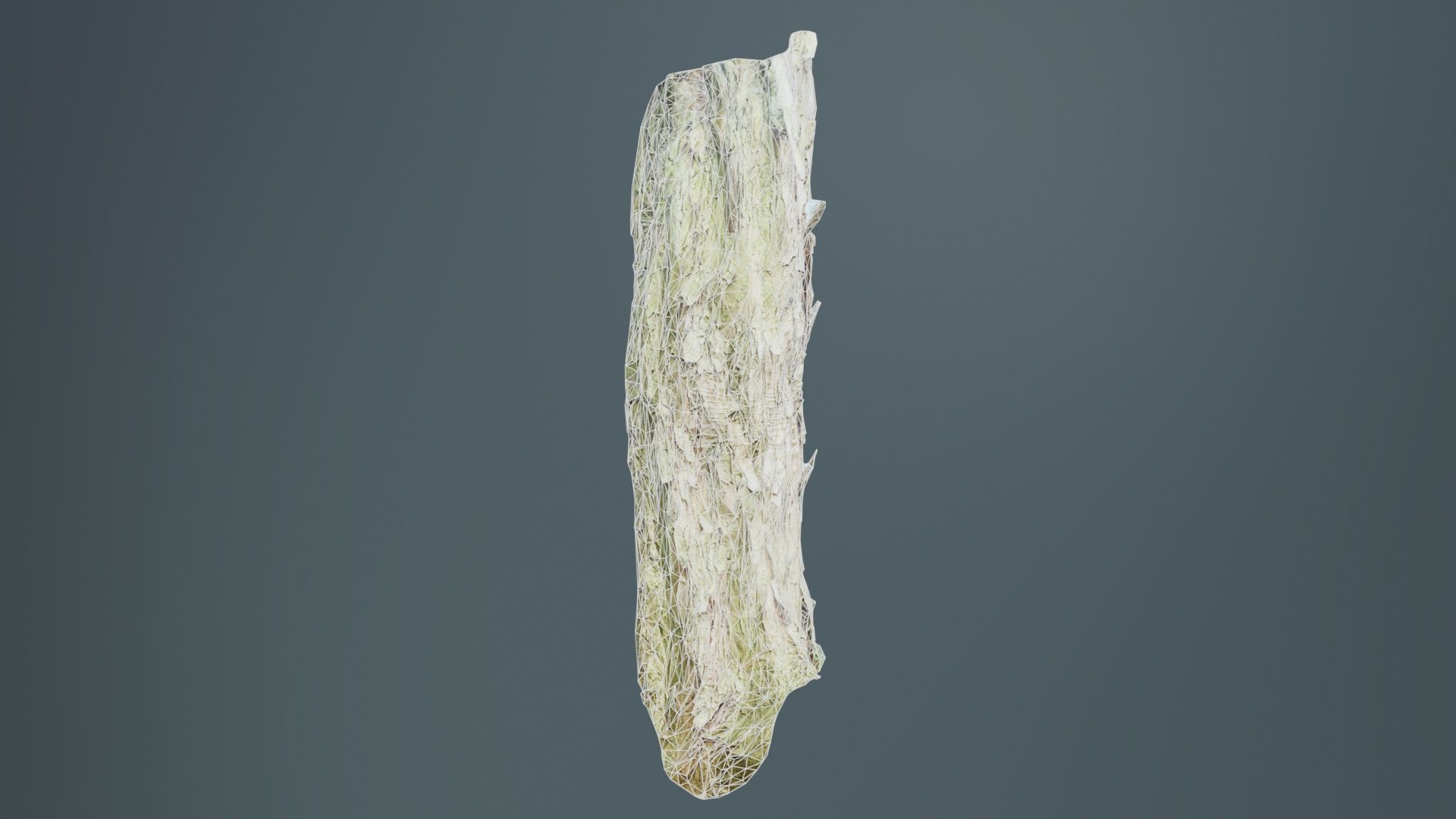 Crack Bark Low-poly 3D model_9