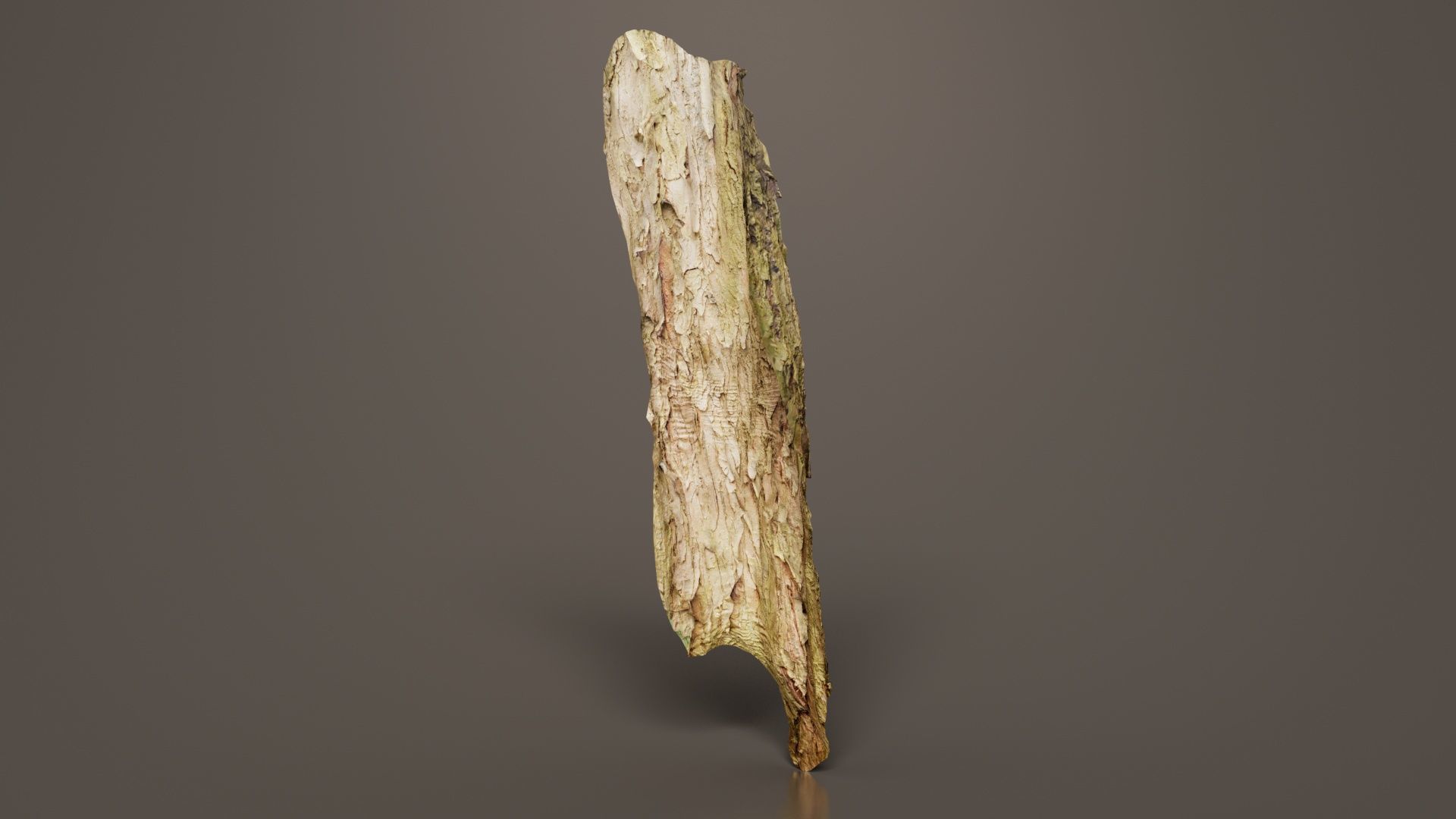Crack Bark Low-poly 3D model_4