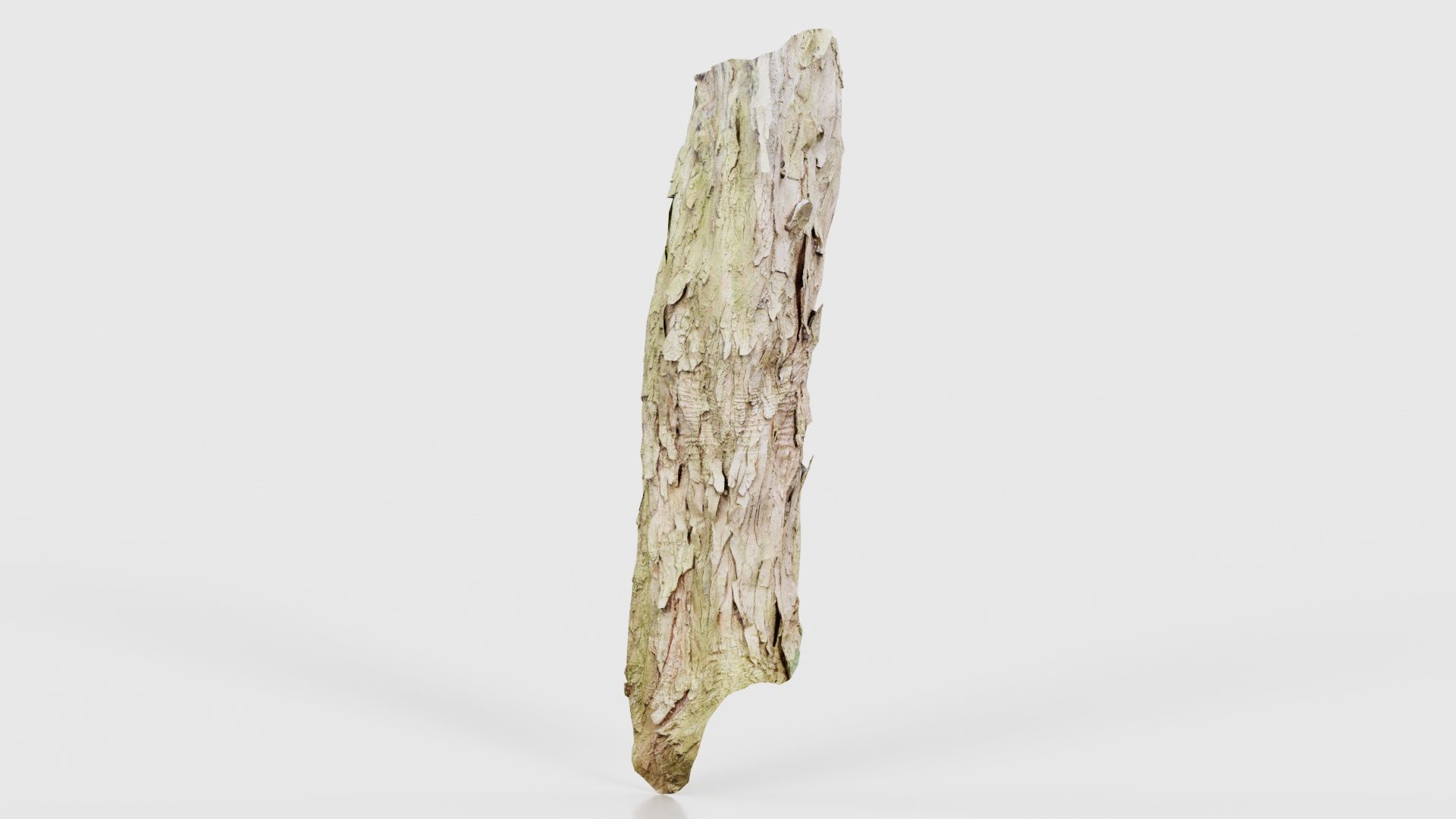Crack Bark Low-poly 3D model_26