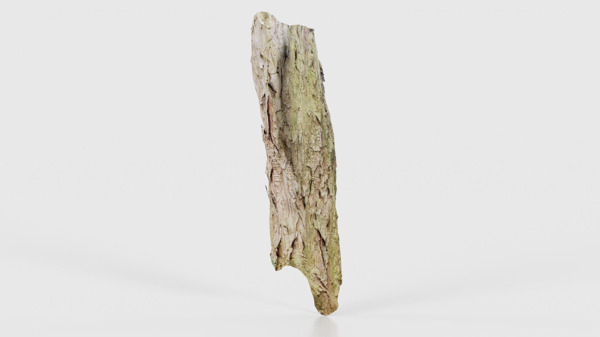 Crack Bark Low-poly 3D model_20