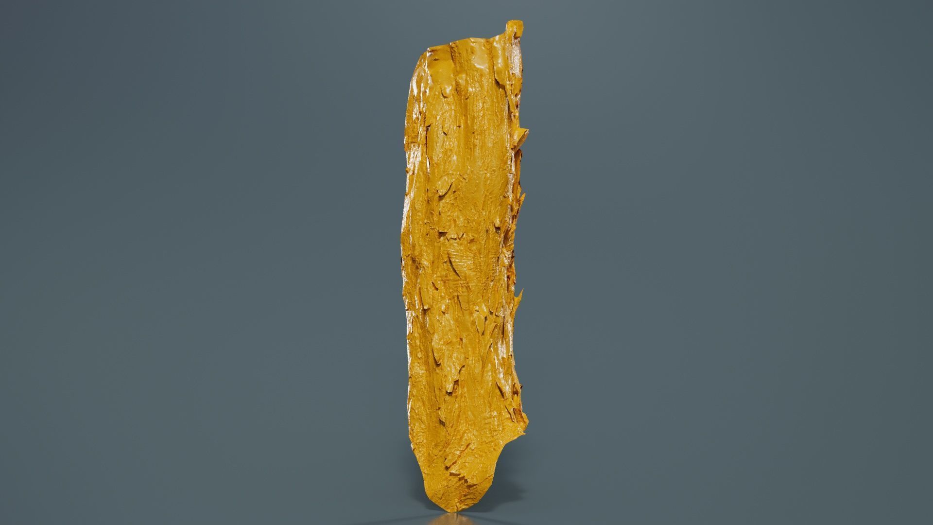 Crack Bark Low-poly 3D model_12