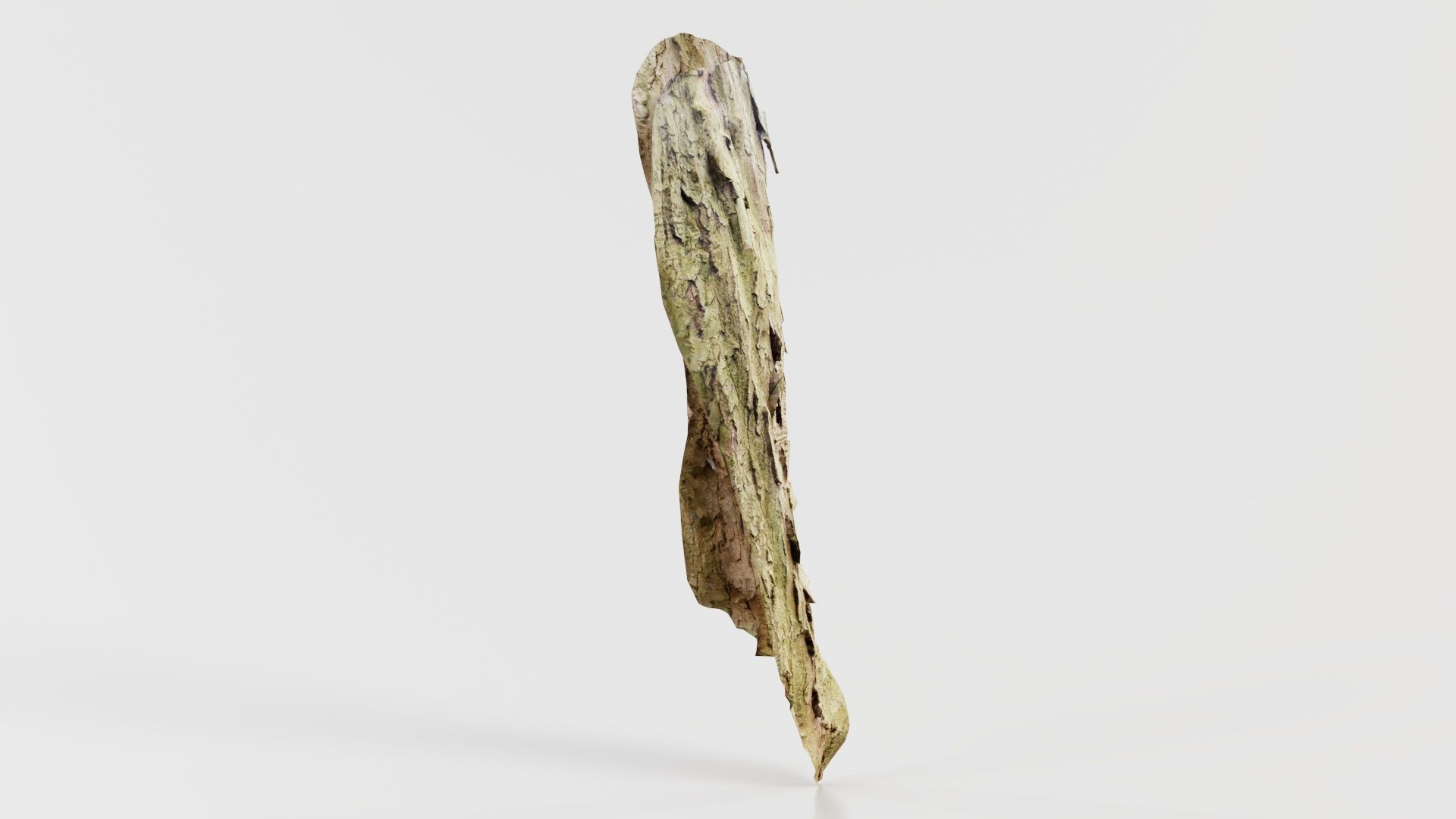 Crack Bark Low-poly 3D model_6