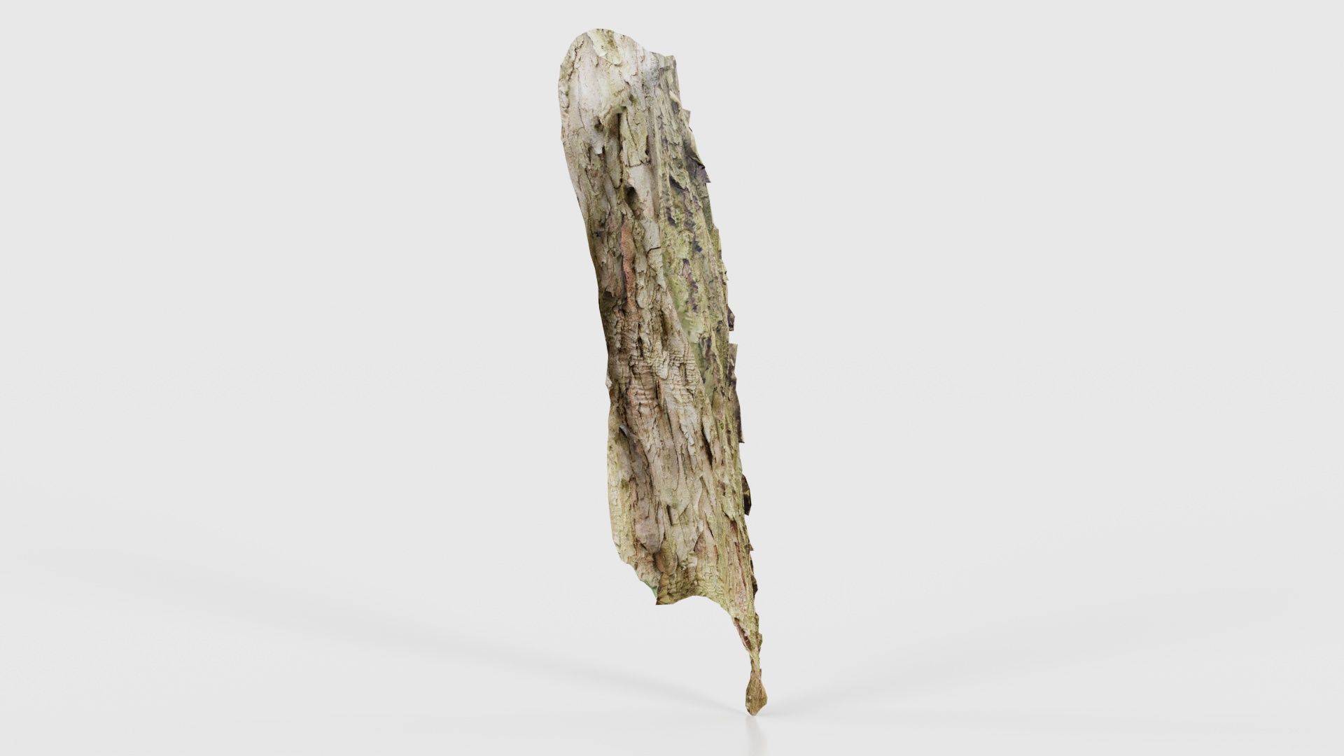 Crack Bark Low-poly 3D model_19