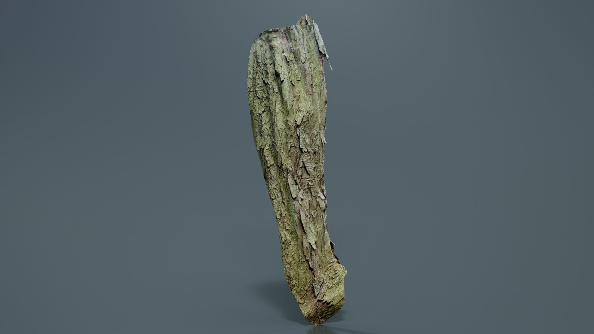 Crack Bark Low-poly 3D model_5