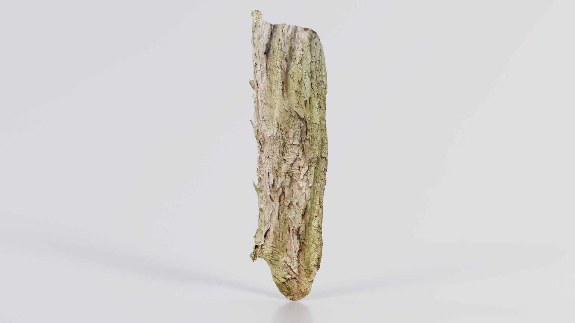 Crack Bark Low-poly 3D model_7
