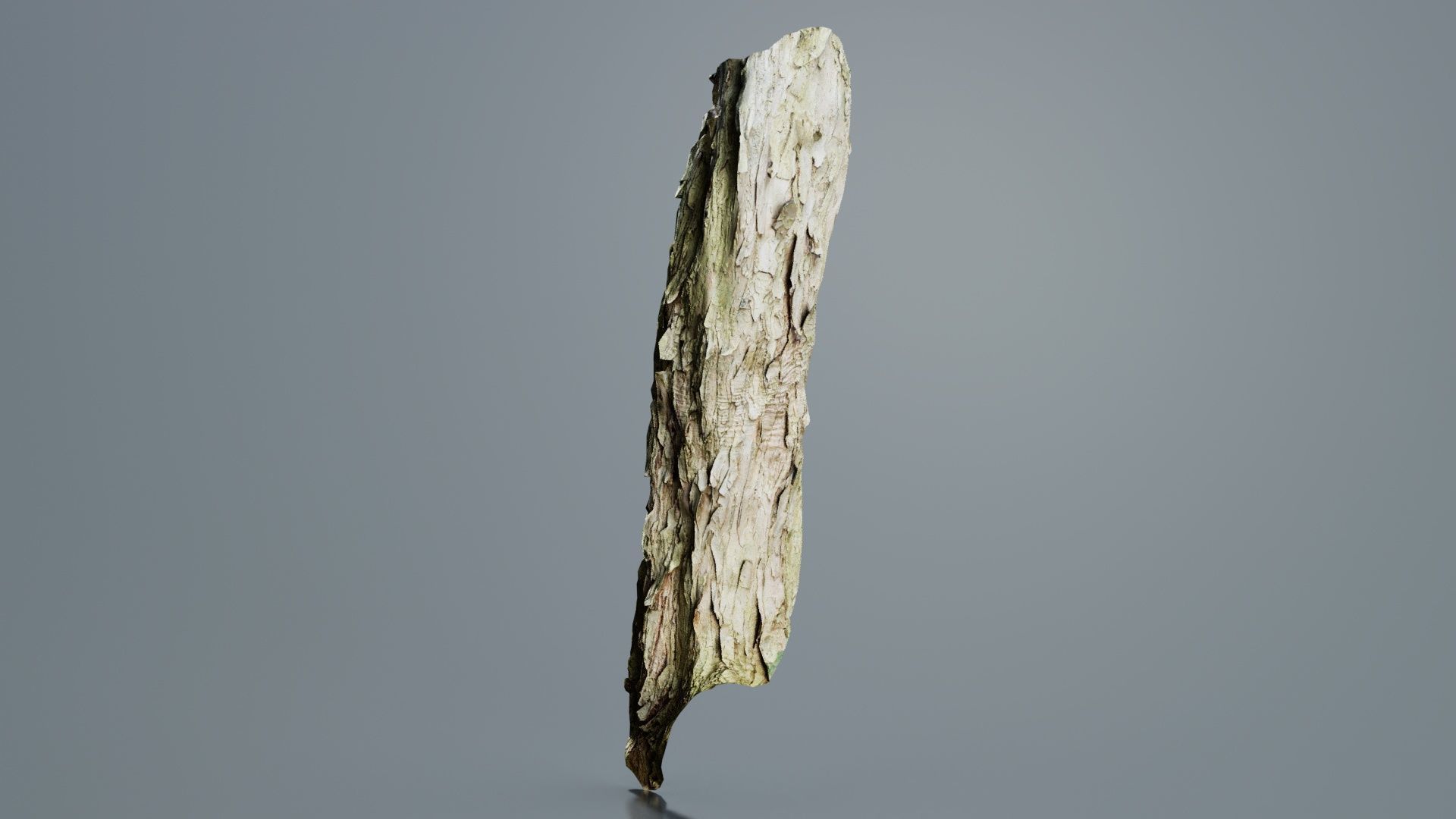 Crack Bark Low-poly 3D model_8