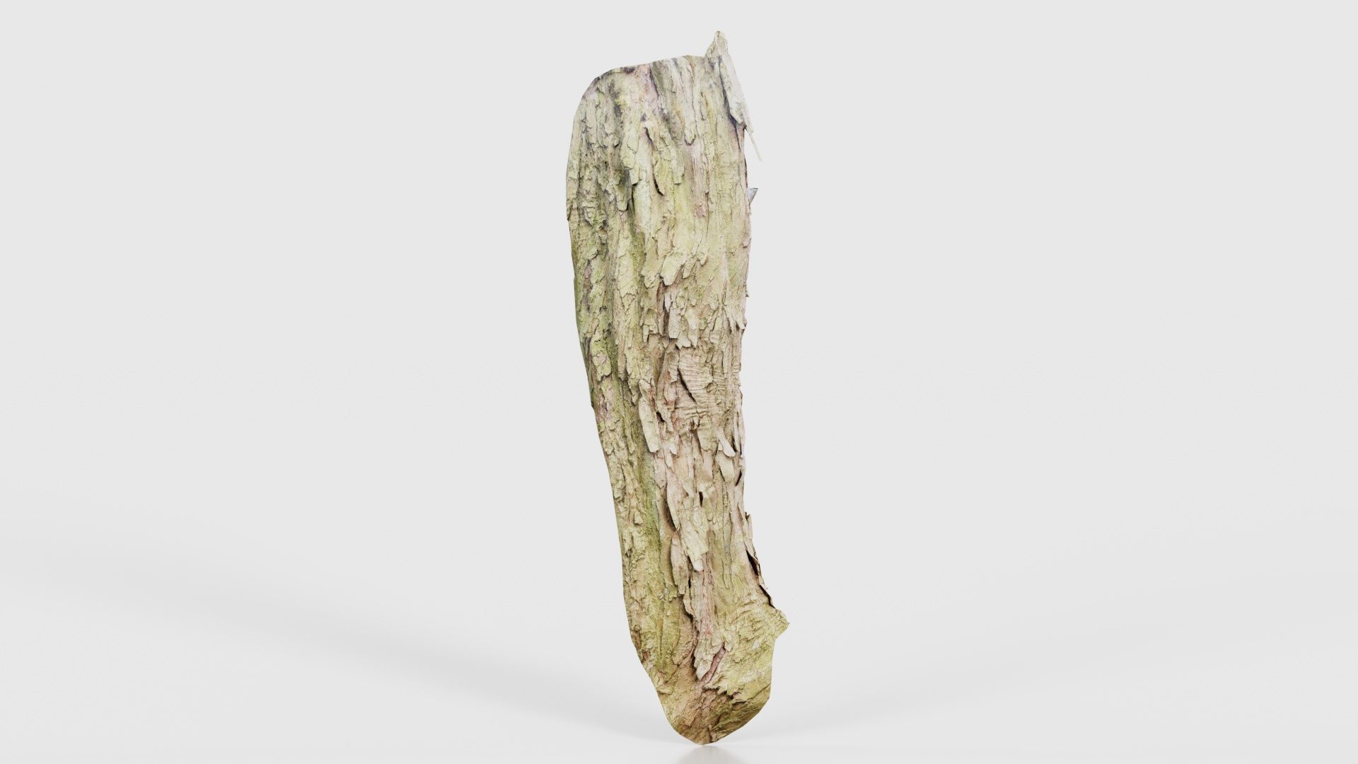 Crack Bark Low-poly 3D model_16