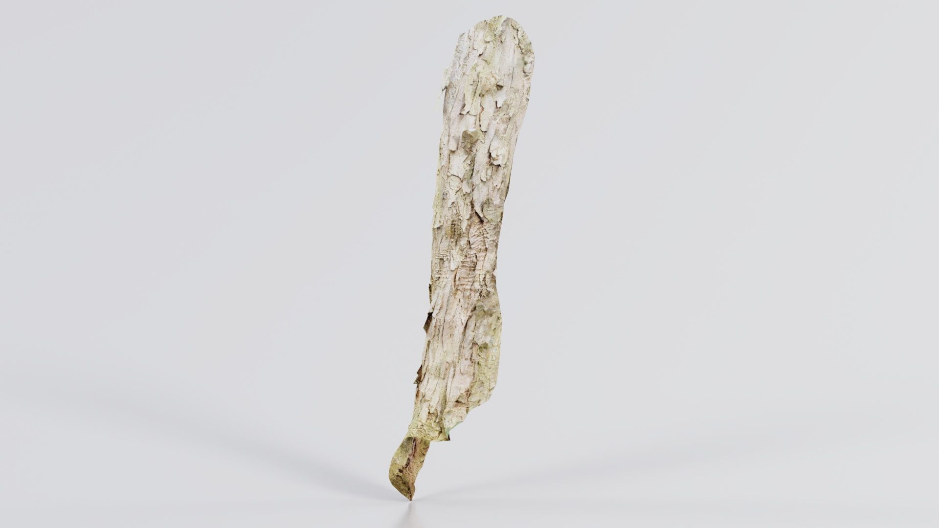 Crack Bark Low-poly 3D model_3