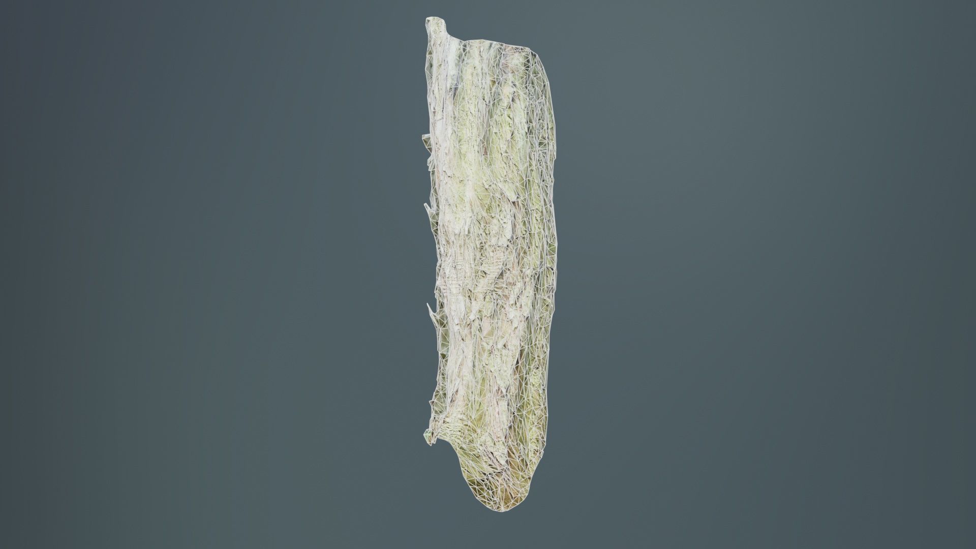 Crack Bark Low-poly 3D model_10