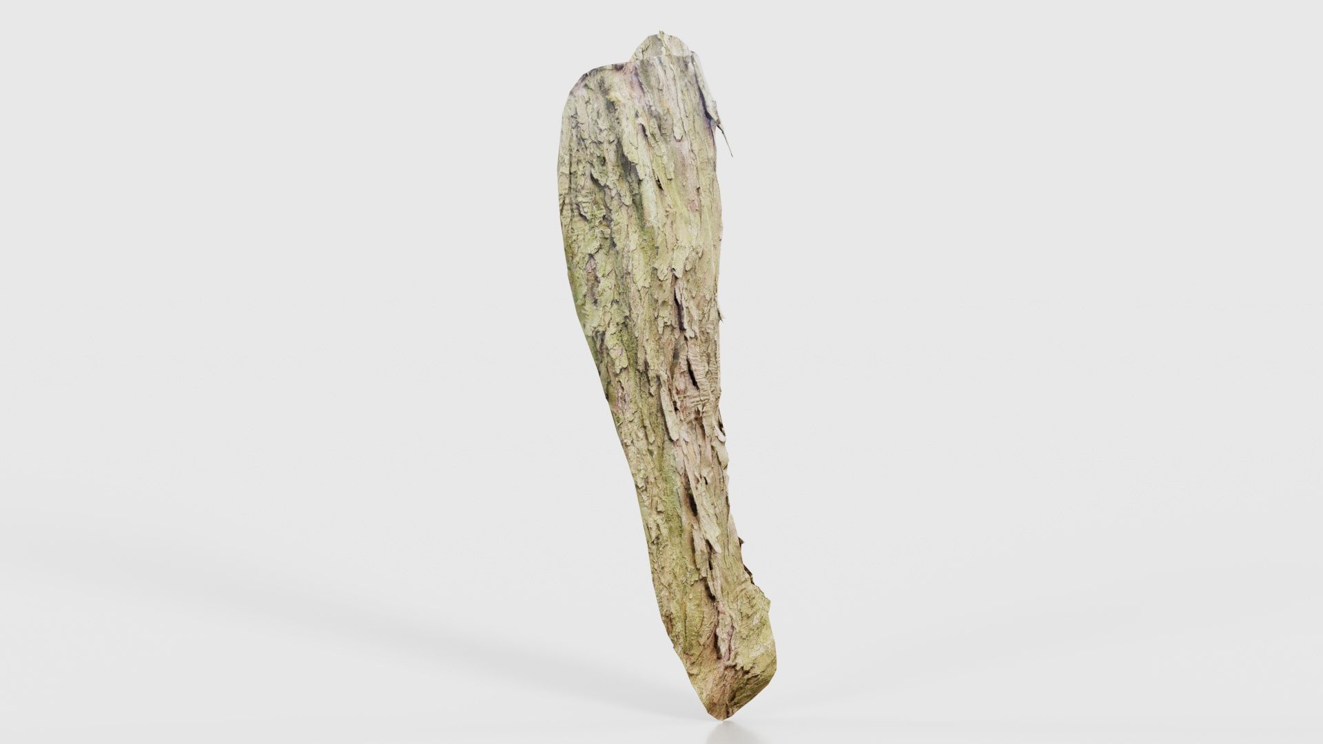 Crack Bark Low-poly 3D model_17