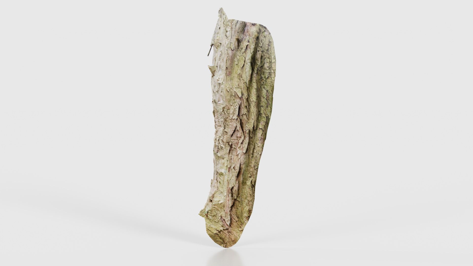 Crack Bark Low-poly 3D model_22