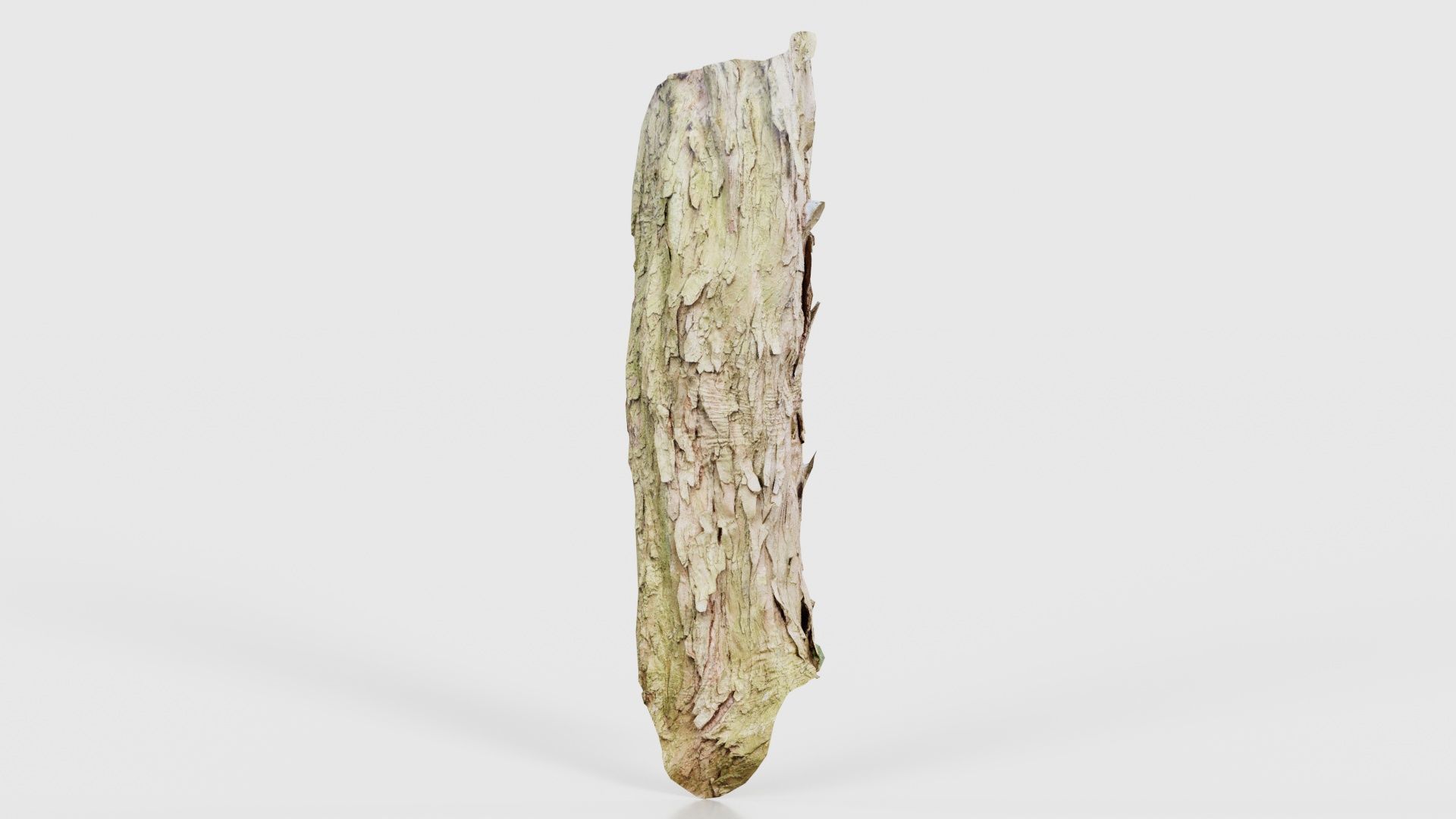 Crack Bark Low-poly 3D model_15