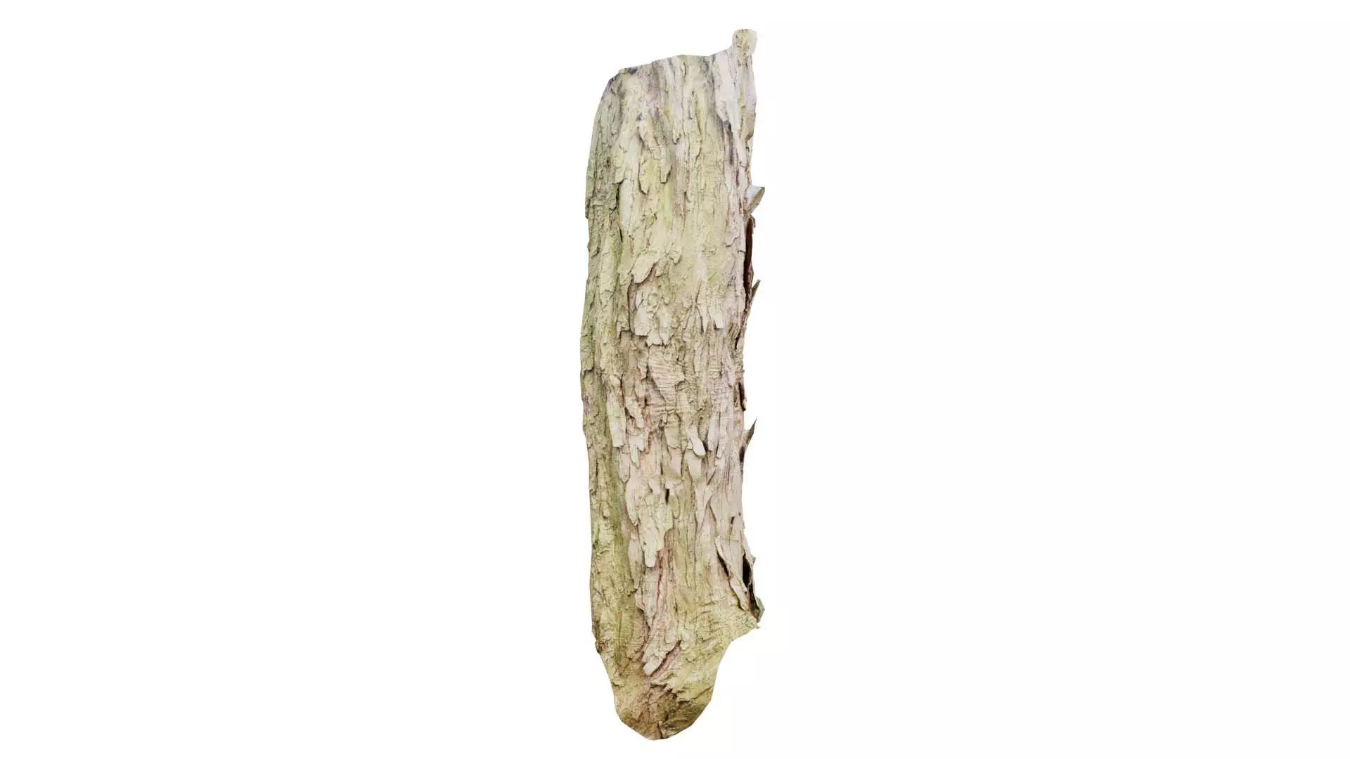Crack Bark Low-poly 3D model_0