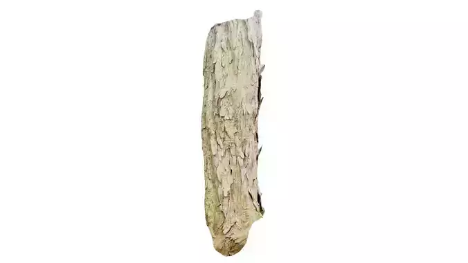 Crack Bark Low-poly 3D model