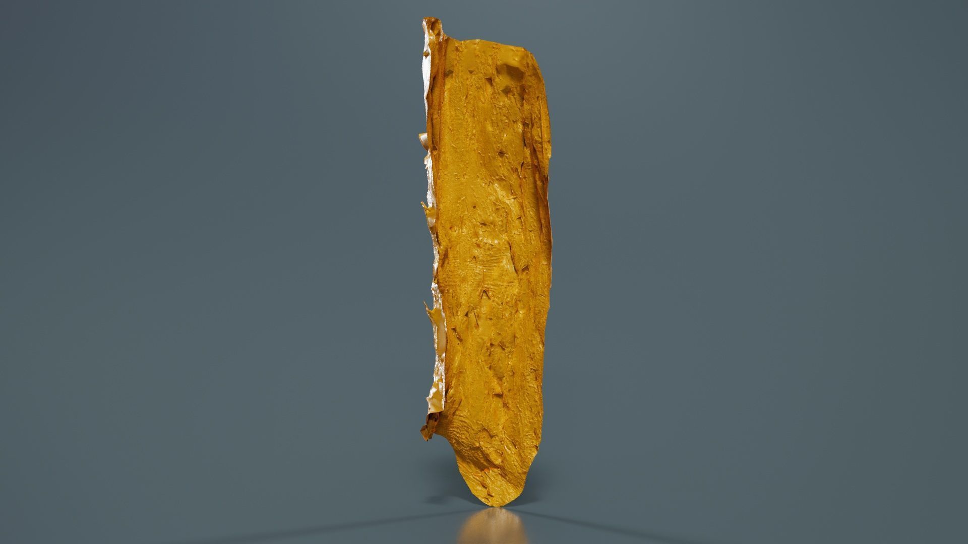 Crack Bark Low-poly 3D model_13