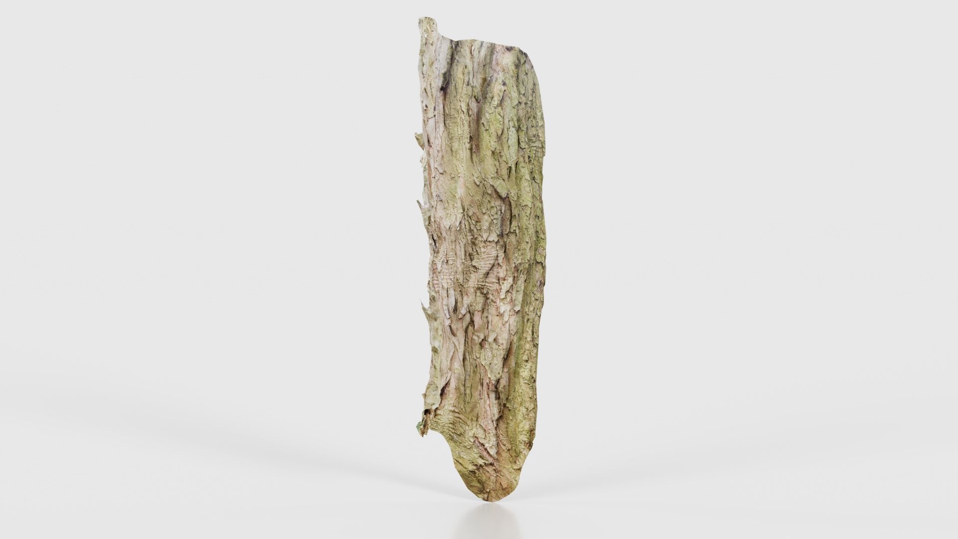 Crack Bark Low-poly 3D model_21