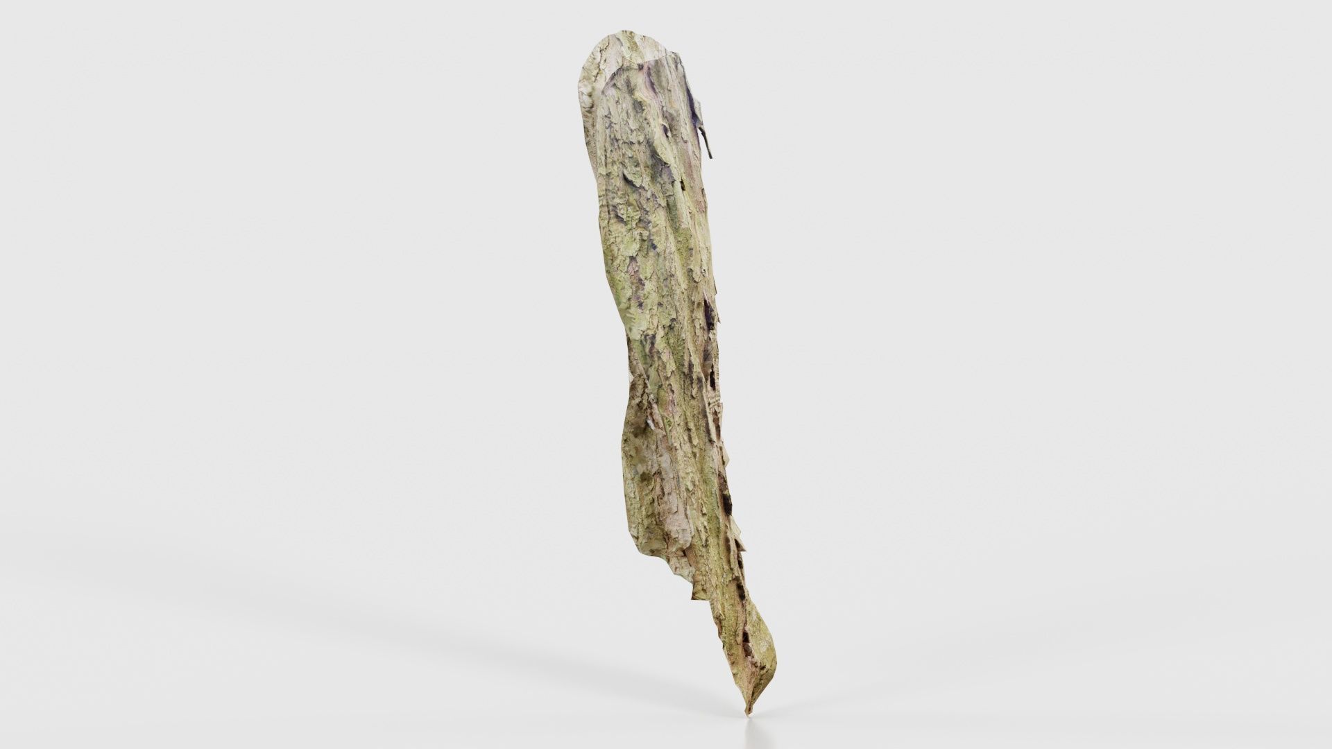 Crack Bark Low-poly 3D model_18