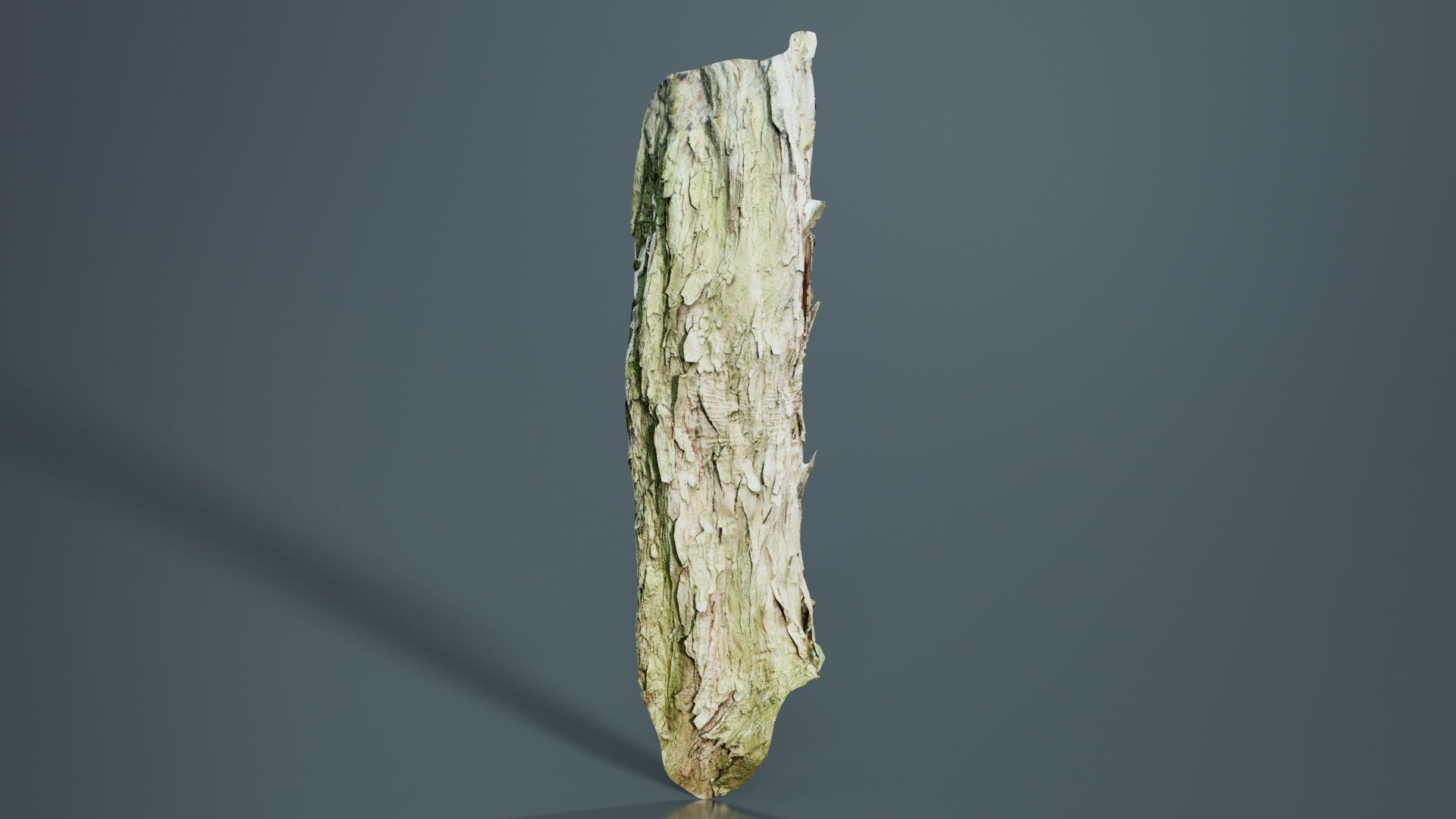 Crack Bark Low-poly 3D model_1
