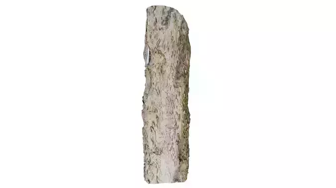 Curved Bark Low-poly 3D model