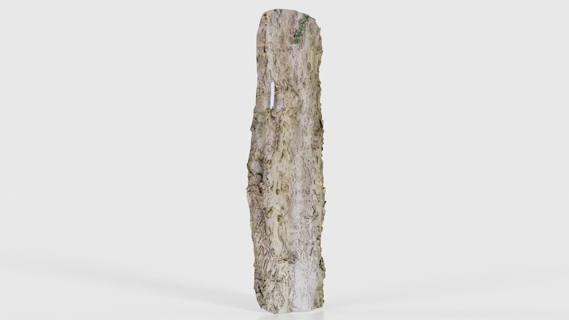 Curved Bark Low-poly 3D model_16