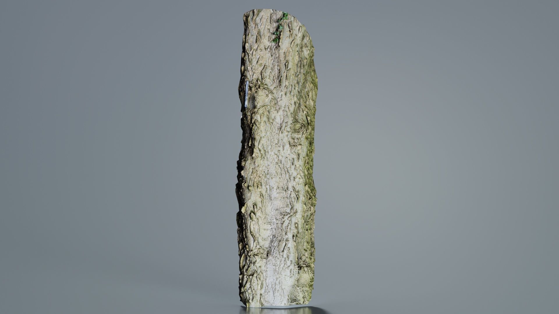 Curved Bark Low-poly 3D model_8