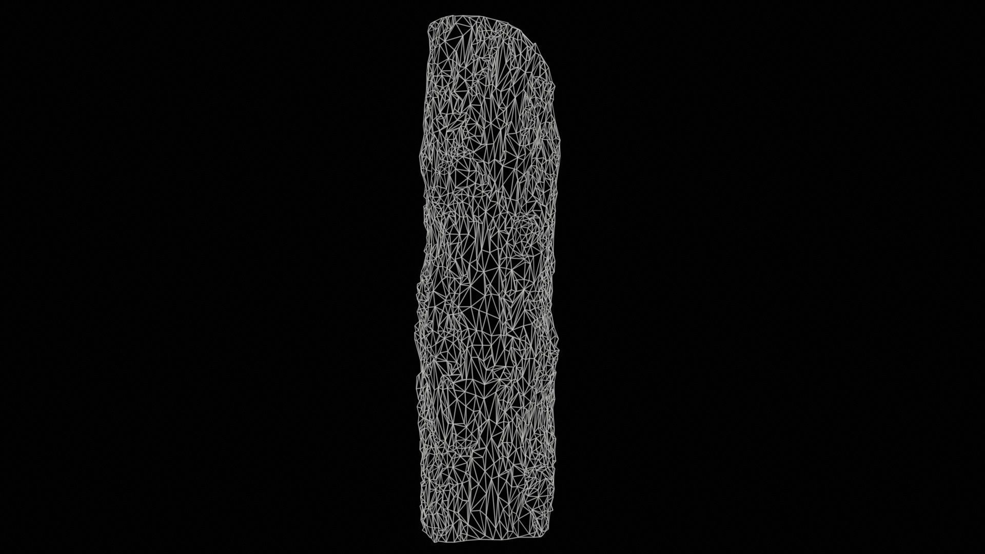 Curved Bark Low-poly 3D model_11