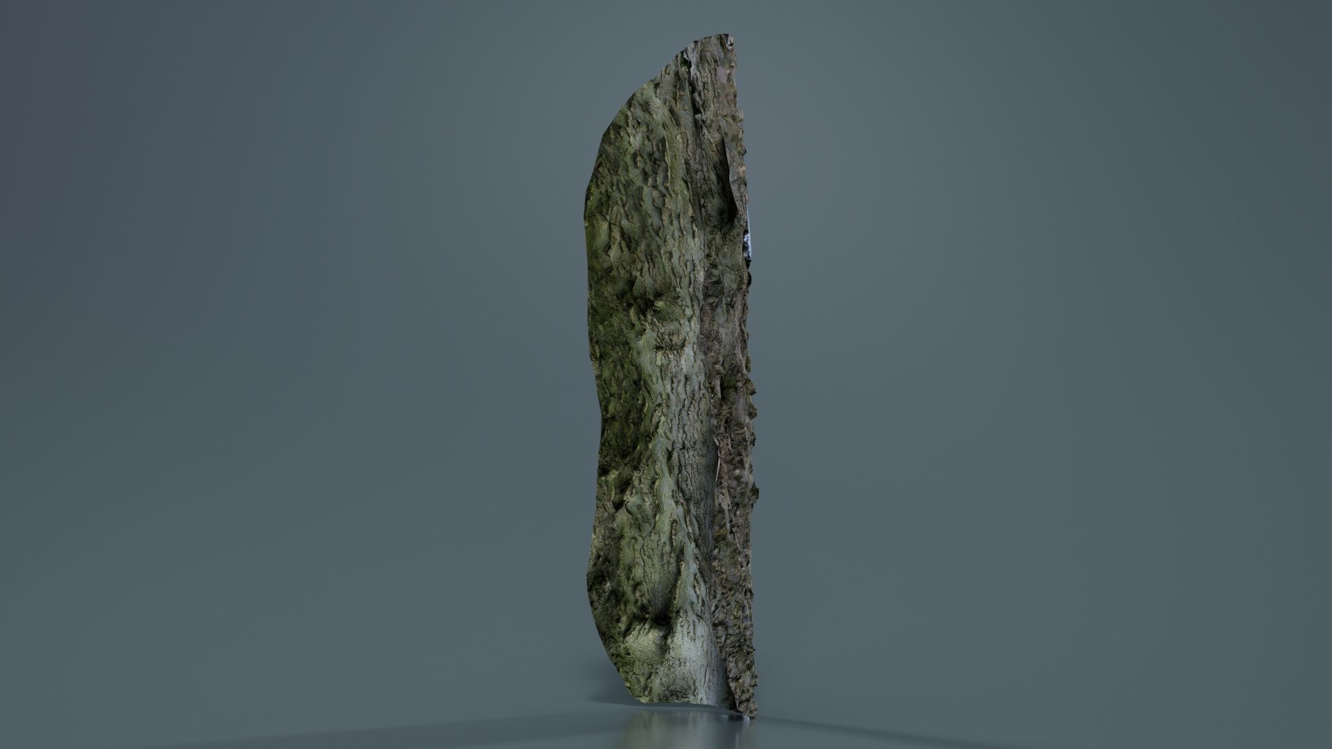 Curved Bark Low-poly 3D model_2