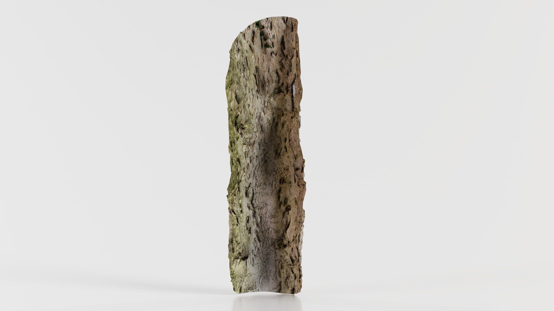 Curved Bark Low-poly 3D model_6