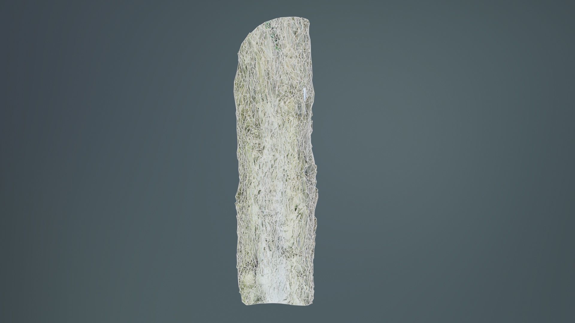 Curved Bark Low-poly 3D model_10