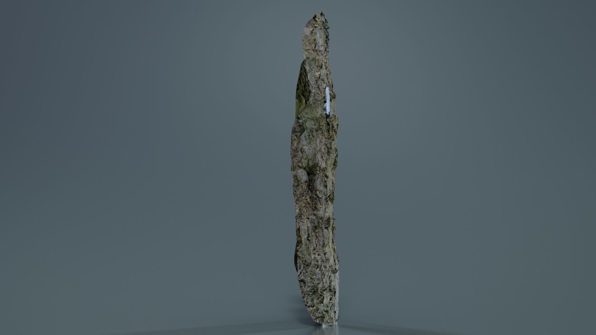 Curved Bark Low-poly 3D model_5