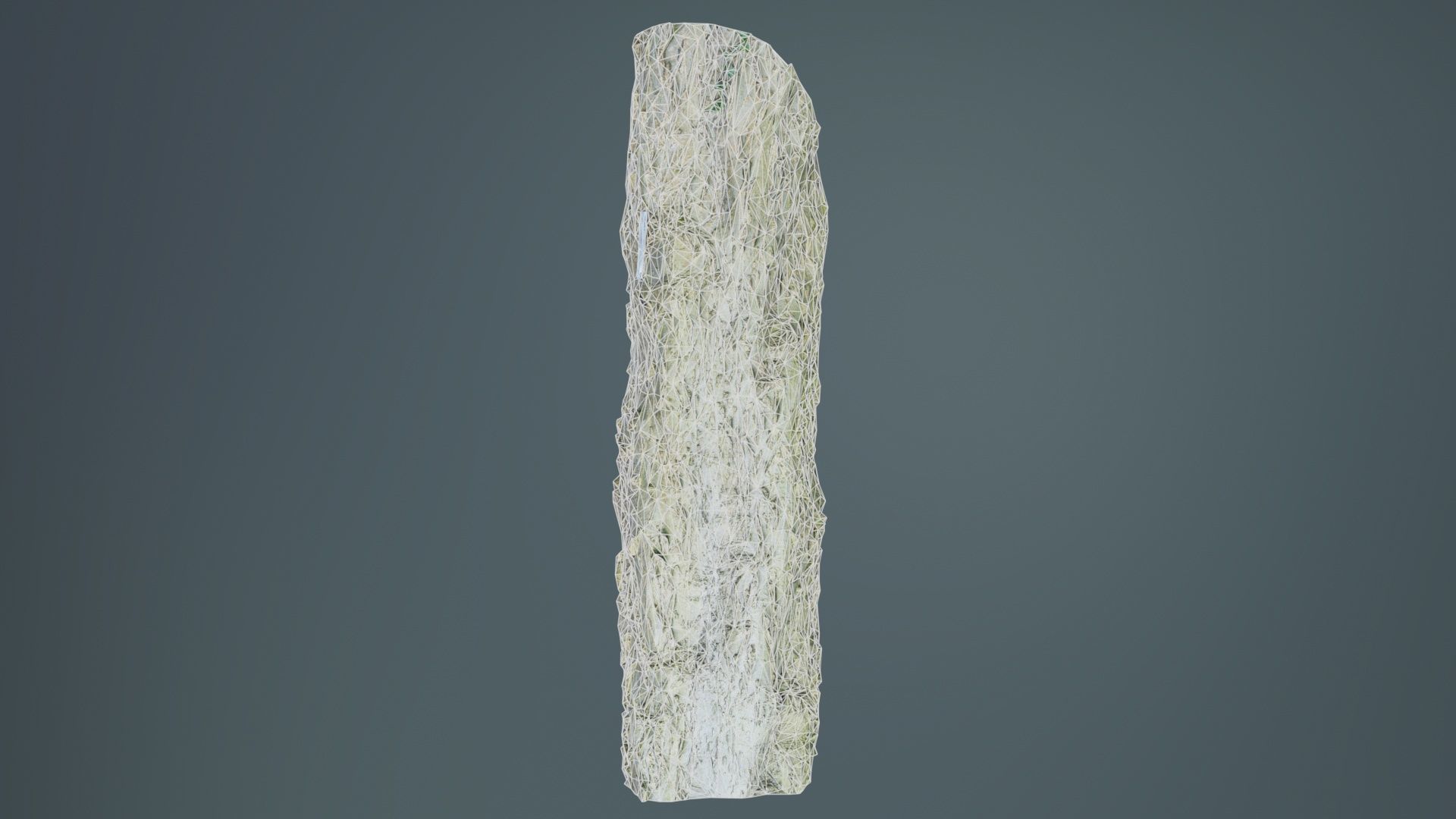 Curved Bark Low-poly 3D model_9